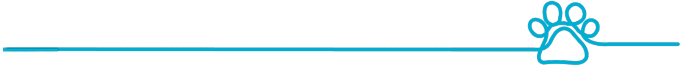 dprc-separator-small-right