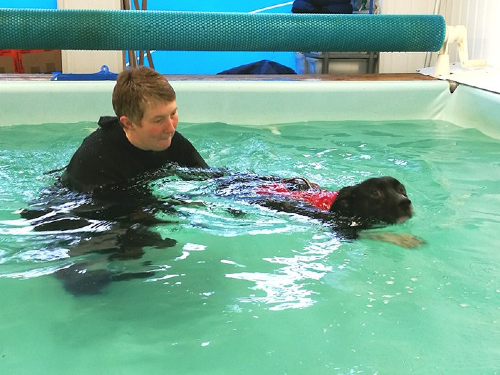 initial-assessment-of-your-dogs-movement-and-gait